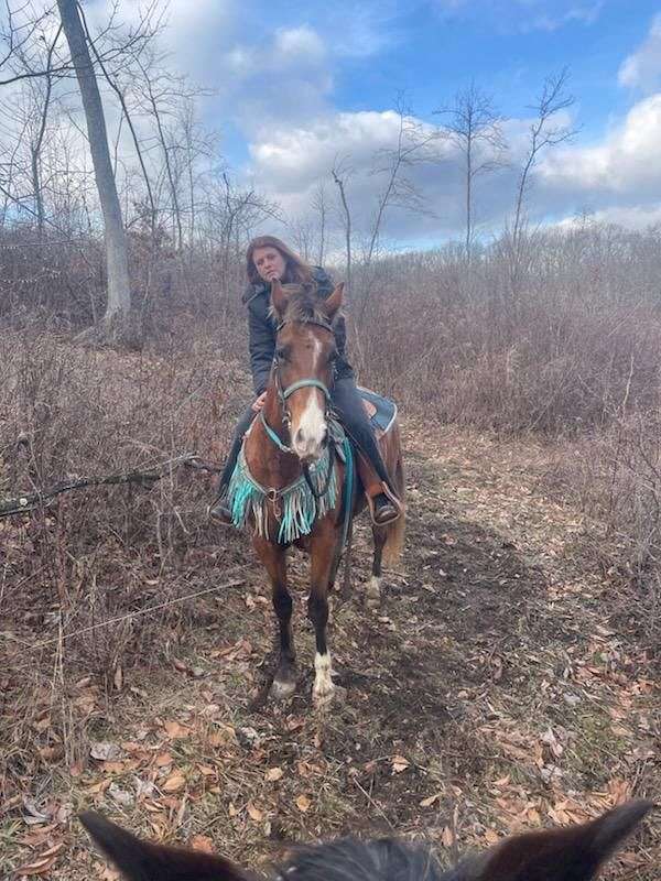 good-ground-manners-rocky-mountain-horse