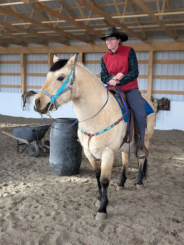 ranch-quarter-horse