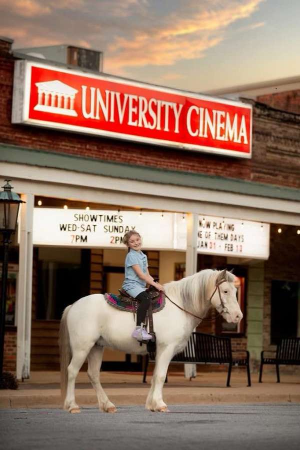 ranch-work-quarter-pony