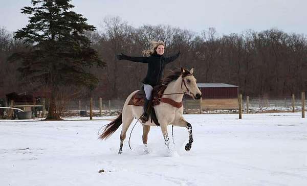 beginner-safe-quarter-pony