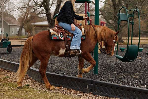 kid-safe-quarter-horse