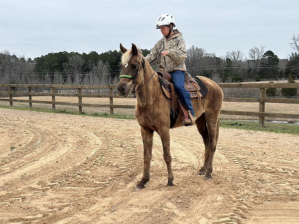 flaxen-mane-missouri-fox-trotter-horse