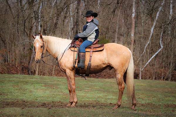 palomino-star-horse