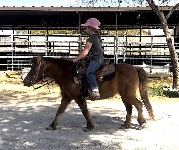 awesome-miniature-pony