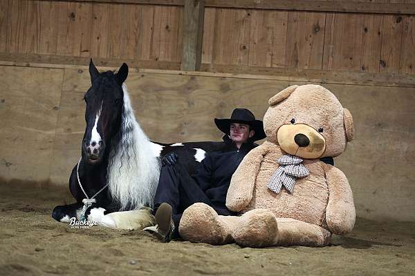 athletic-gypsy-vanner-horse