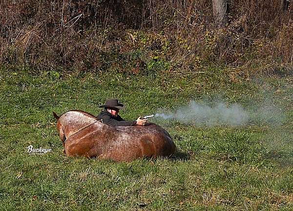 mounted-patrol-draft-horse