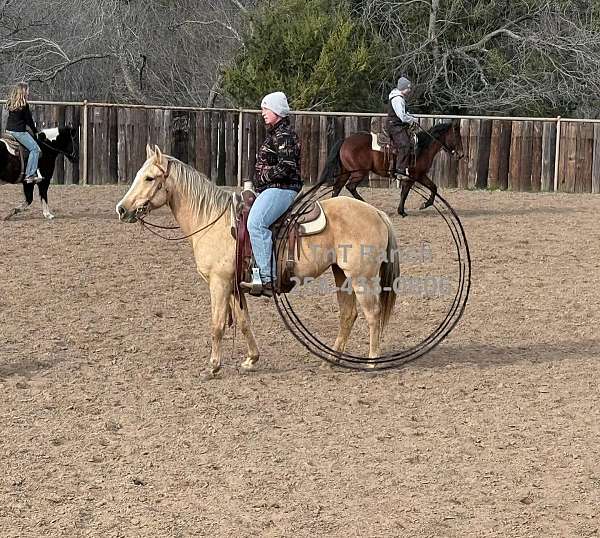 ebarrelracing-pony