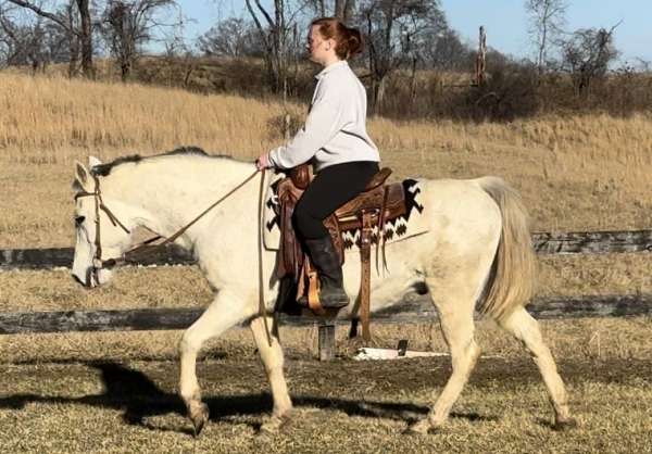 trail-quarter-pony