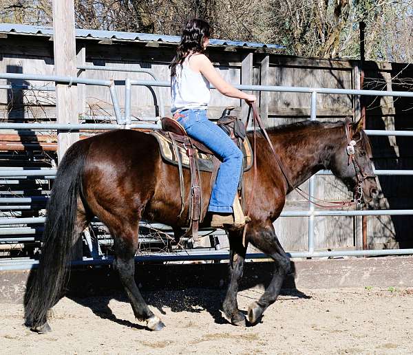 team-penning-quarter-horse