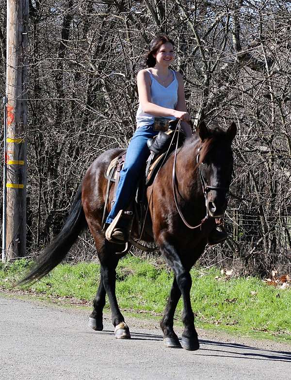 trail-riding-quarter-horse