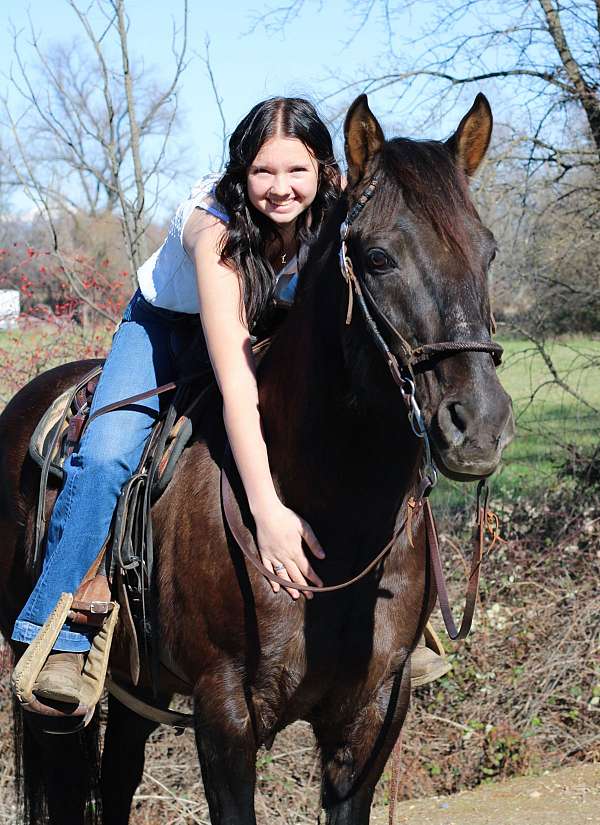 black-quarter-horse-gelding