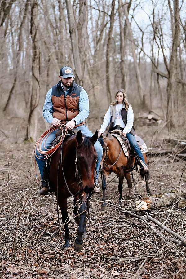 barrel-racing-quarter-horse