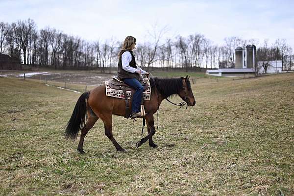 barrel-quarter-pony