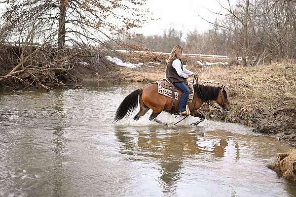 calf-roping-quarter-pony