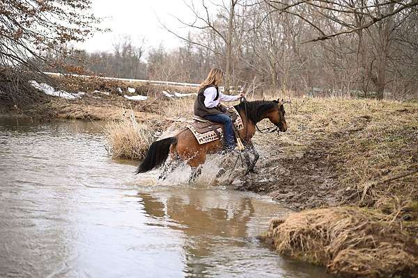 cowboy-mounted-shooting-quarter-pony