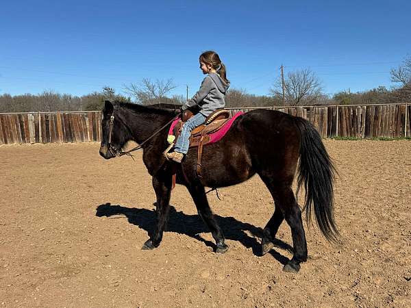 obstacles-quarter-pony