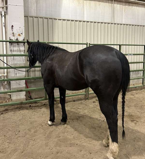 barrel-racing-quarter-horse