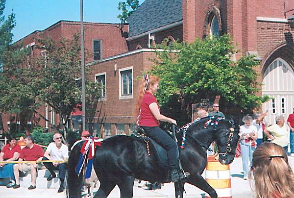 companion-tennessee-walking-horse