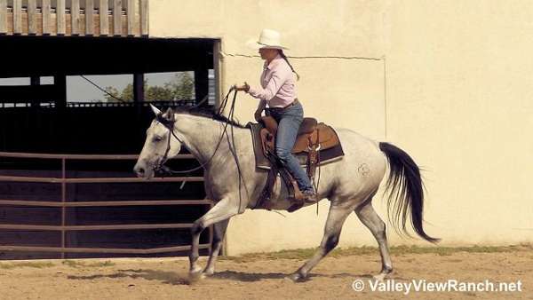 ranch-work-quarter-horse