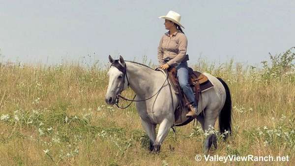 roping-quarter-horse