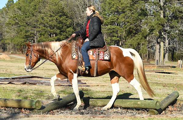 sorrel-overo-hunter-under-saddle-pony