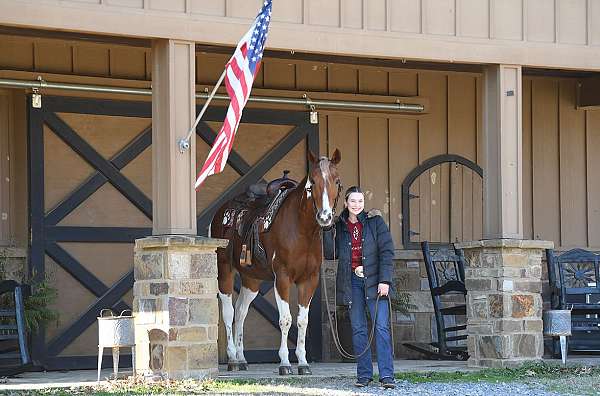 bombproof-pony-paint