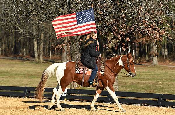 gelding-paint-horse