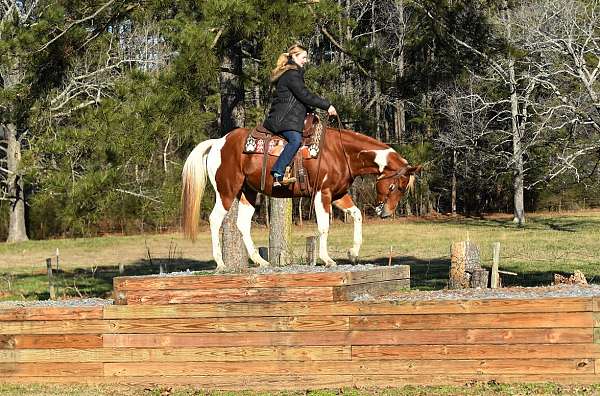 athletic-paint-horse