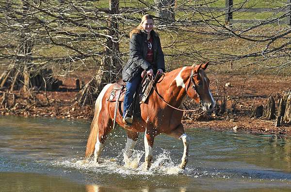 ranch-pony-paint