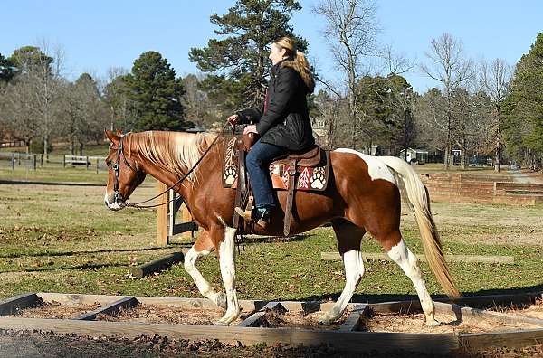 sorrel-overo-equitation-pony