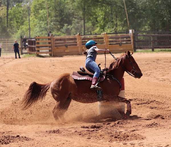 sorrel-barrel-horse