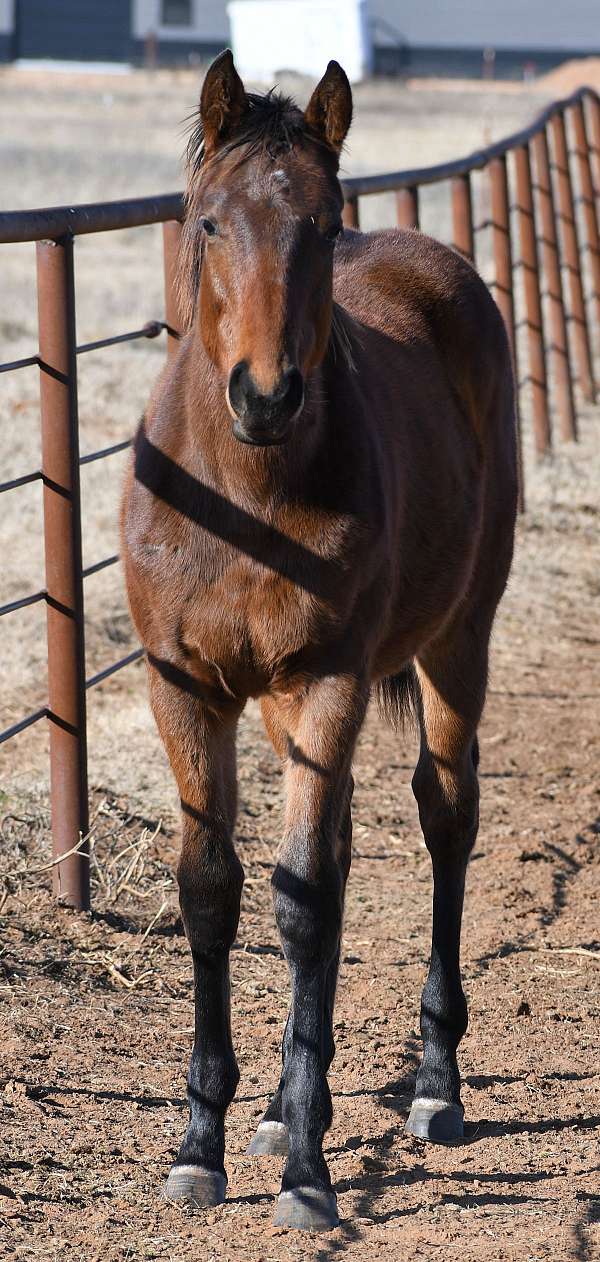 black-female