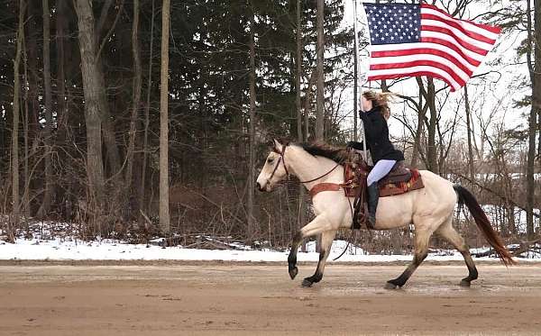 all-around-quarter-pony