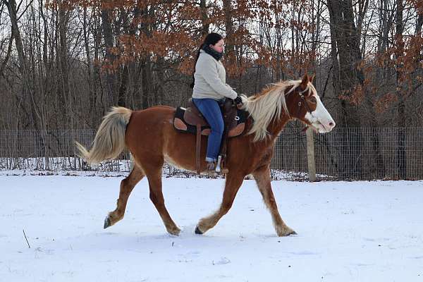 all-around-paint-horse