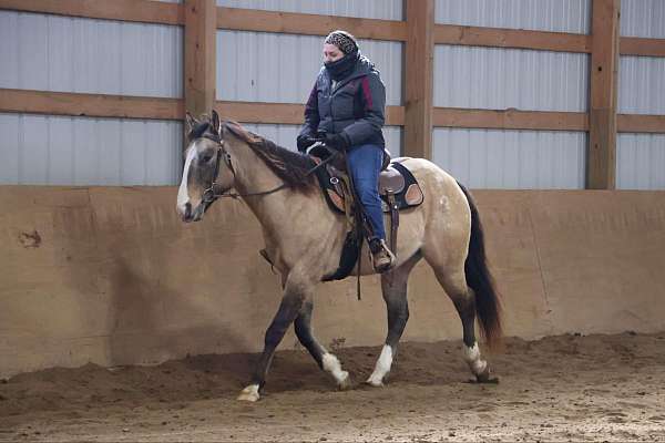 ranch-work-quarter-horse