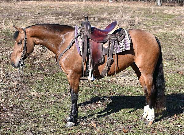 ranch-work-quarter-pony