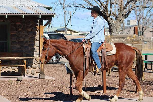 flashy-quarter-horse