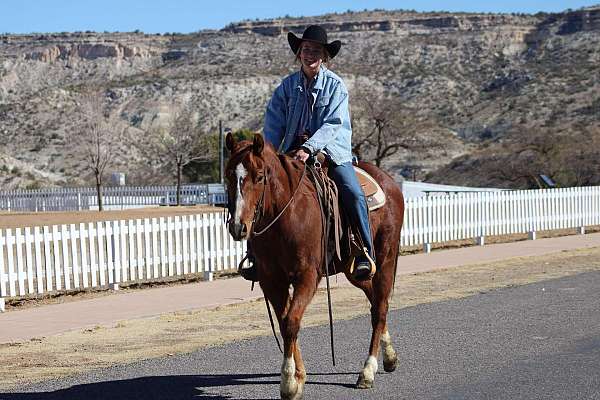 ranch-quarter-horse