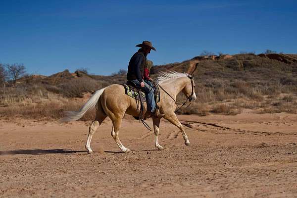 roping-quarter-horse