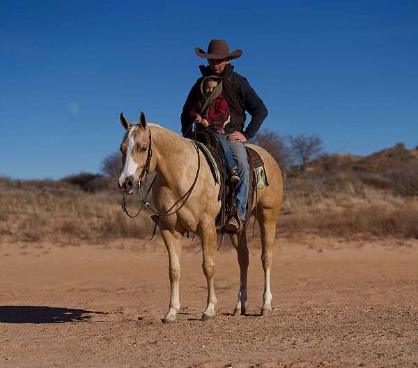 trail-riding-quarter-horse