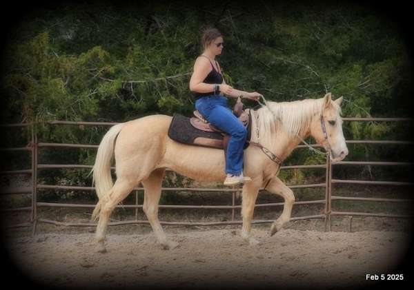 kids-palomino-horse