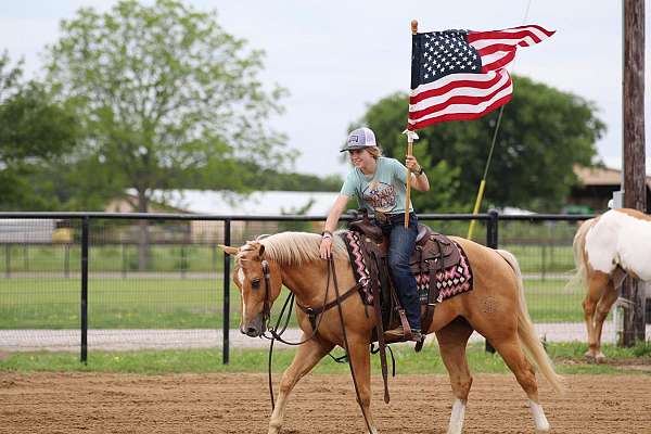 athletic-quarter-horse