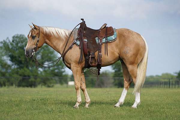 roping-quarter-horse