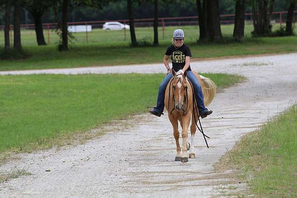 trail-riding-quarter-horse