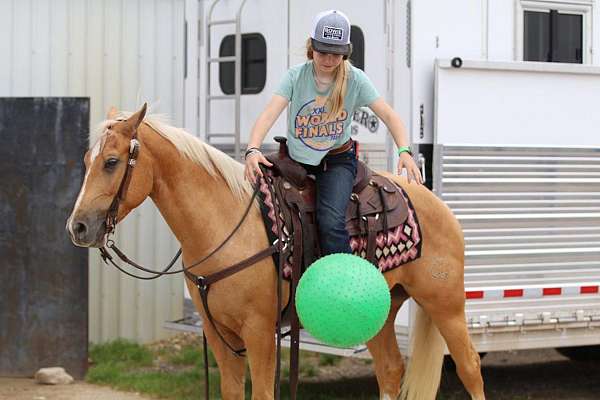 western-riding-quarter-horse