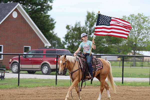 palomino-athletic-horse