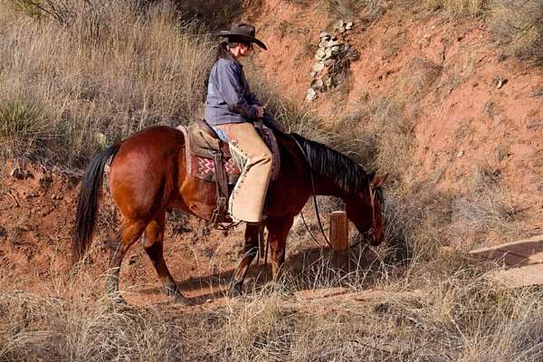 ranch-work-quarter-horse