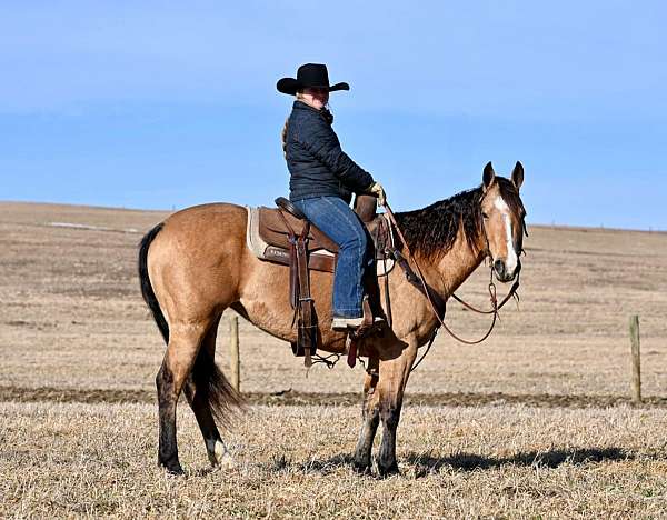 ranch-versatility-quarter-horse