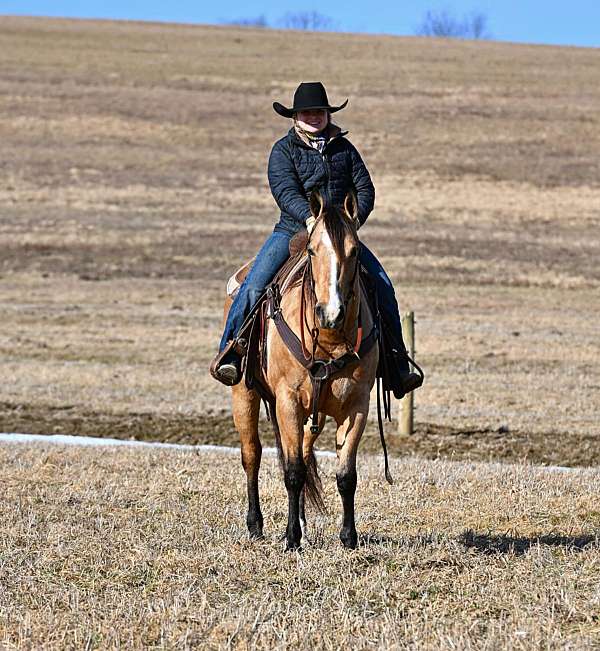 ranch-work-quarter-horse