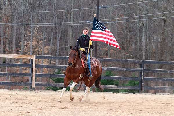 husband-safe-paint-horse